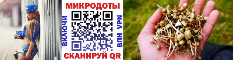 нарко площадка клад  kraken ONION  Псилоцибиновые грибы Cubensis  Чкаловск  где продают наркотики 